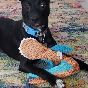 Fundraising Page: Cathy Gascoine